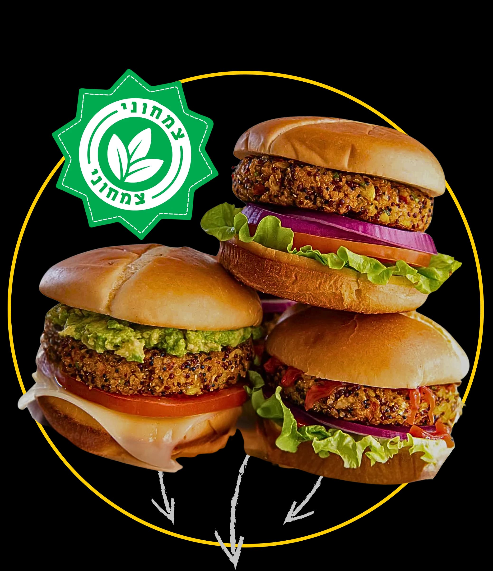 מתאים לצמחוניים